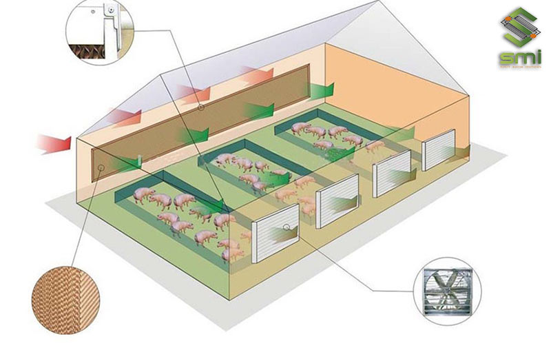 Các bố trí tầm Cooling pad và hệ thống quạt hút theo hai mặt ngang của nhà xưởng